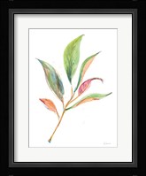 Washy Leaves II Framed Print