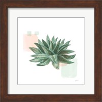 Desert Color Succulent II Mint Fine Art Print