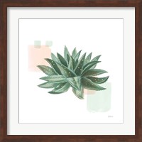 Desert Color Succulent II Mint Fine Art Print