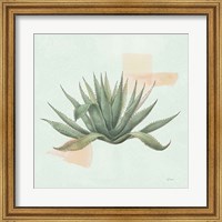 Desert Color Succulent I Mint Fine Art Print