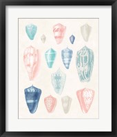 Colorful Shell Assortment I Coral Cove Framed Print