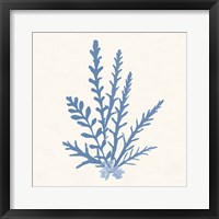 Pacific Sea Mosses III Light Blue Fine Art Print