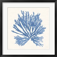 Pacific Sea Mosses II Light Blue Fine Art Print