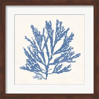 Pacific Sea Mosses I Light Blue Fine Art Print