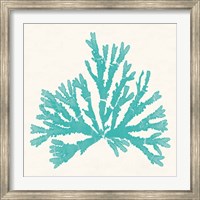 Pacific Sea Mosses IV Aqua Fine Art Print