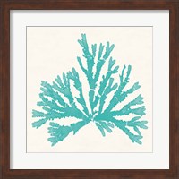 Pacific Sea Mosses IV Aqua Fine Art Print