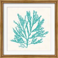 Pacific Sea Mosses I Aqua Fine Art Print