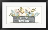 U-Pick Pumpkins Fine Art Print