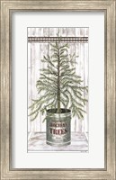Galvanized Pot Pine Fine Art Print