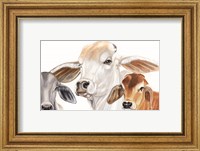 Ranch Life Fine Art Print