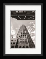 Looking Up Fine Art Print