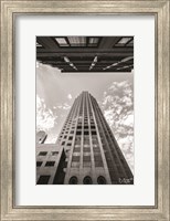 Looking Up Fine Art Print