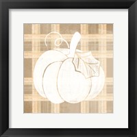 Plaid Pumpkin II Framed Print