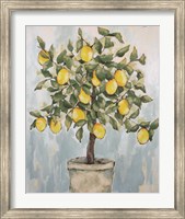Lovely Lemons Fine Art Print
