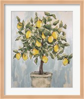 Lovely Lemons Fine Art Print