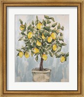 Lovely Lemons Fine Art Print