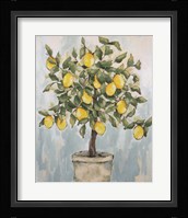 Lovely Lemons Fine Art Print