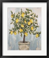 Lovely Lemons Framed Print