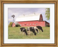 Henderson Cows Fine Art Print