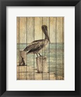 Vintage Pelican I Fine Art Print