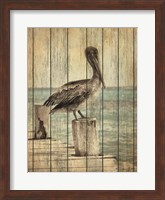 Vintage Pelican I Fine Art Print
