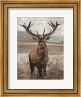 Grand Elk 1 Fine Art Print