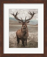 Grand Elk 1 Fine Art Print