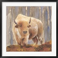 White Buffalo Fine Art Print