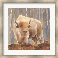 White Buffalo Fine Art Print