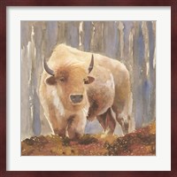 White Buffalo Fine Art Print