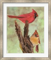 Cardinal 1 Fine Art Print