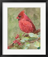 Cardinal 2 Fine Art Print