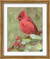Cardinal 2 Fine Art Print