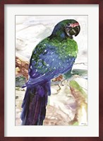 Blue Parrot on Branch 1 Fine Art Print