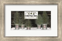Galvanized Pots Christmas Trees II Fine Art Print