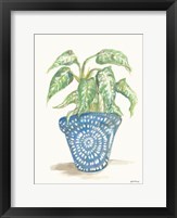 House Plant Fine Art Print
