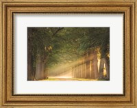 Perfect Place to Sit Fine Art Print