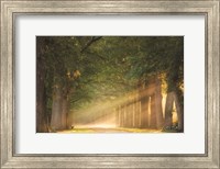 Perfect Place to Sit Fine Art Print