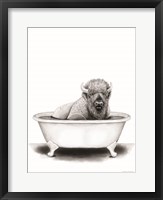 Bison in Tub Fine Art Print