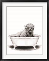Bison in Tub Fine Art Print