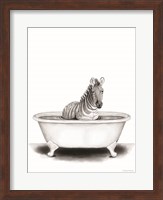 Zebra in Tub Fine Art Print