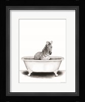 Zebra in Tub Framed Print