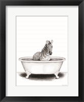 Zebra in Tub Framed Print