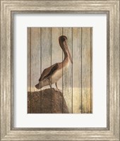 Vintage Pelican II Fine Art Print