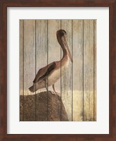 Vintage Pelican II Fine Art Print