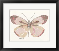 Butterfly 4 Fine Art Print