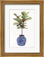 Fig Tree 1 Fine Art Print
