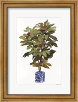 Fig Tree 2 Fine Art Print