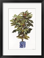 Fig Tree 2 Fine Art Print