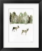 Reindeer 1 Fine Art Print